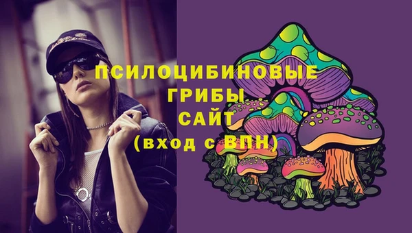 прущая мука Армянск