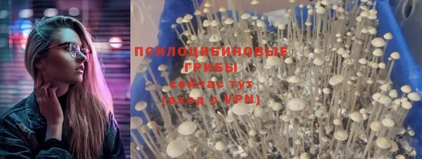 прущая мука Армянск