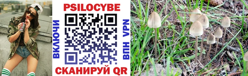 Галлюциногенные грибы Psilocybine cubensis  дарнет шоп  Туринск 
